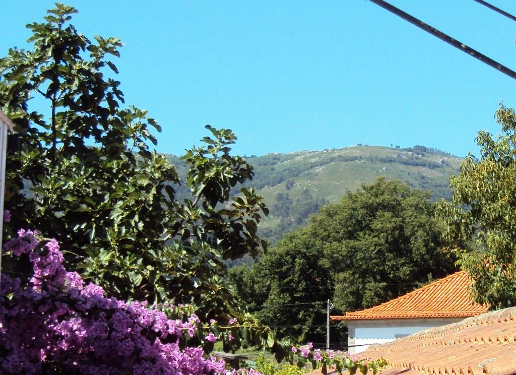 Casa Do Mosteiro De Refoios Do Lima Ponte de Lima Habitación foto